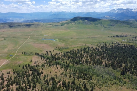 161 Acres San Juan Mountain Land for Sale in Placerville, CO - image 13
