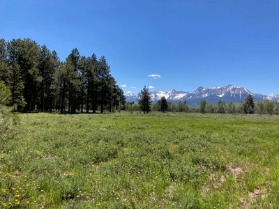 161 Acres San Juan Mountain Land for Sale in Placerville, CO - image 21