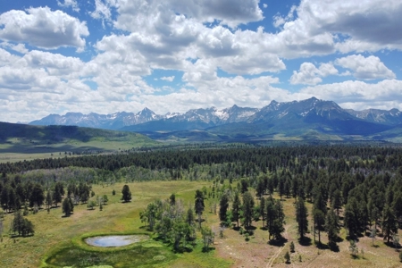 161 Acres San Juan Mountain Land for Sale in Placerville, CO - image 1