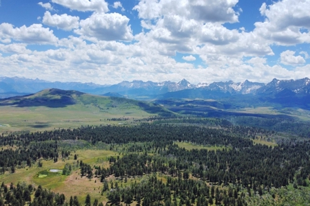161 Acres San Juan Mountain Land for Sale in Placerville, CO - image 4