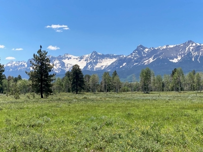 161 Acres San Juan Mountain Land for Sale in Placerville, CO - image 19