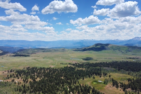 161 Acres San Juan Mountain Land for Sale in Placerville, CO - image 5