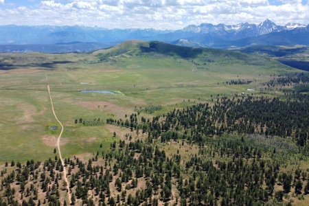 161 Acres San Juan Mountain Land for Sale in Placerville, CO - image 9