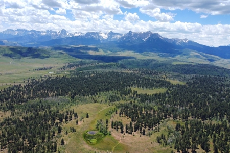 161 Acres San Juan Mountain Land for Sale in Placerville, CO - image 8