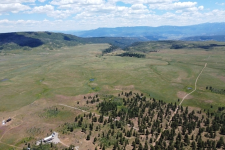161 Acres San Juan Mountain Land for Sale in Placerville, CO - image 11