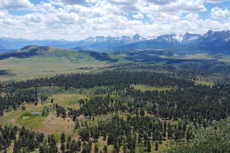 161 Acres San Juan Mountain Land for Sale in Placerville, CO - image 6