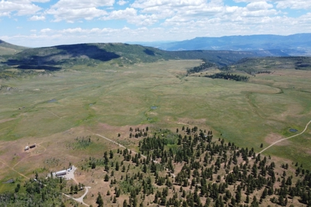 161 Acres San Juan Mountain Land for Sale in Placerville, CO - image 12