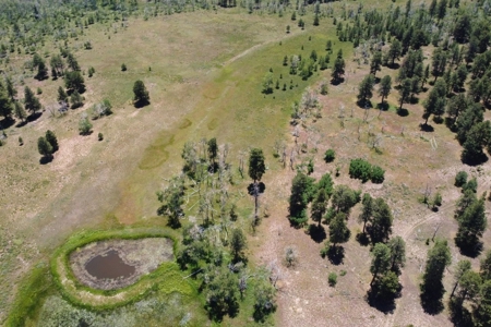 161 Acres San Juan Mountain Land for Sale in Placerville, CO - image 15