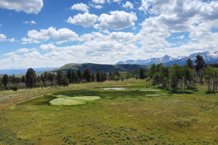 161 Acres San Juan Mountain Land for Sale in Placerville, CO - image 2