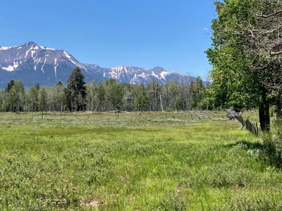 161 Acres San Juan Mountain Land for Sale in Placerville, CO - image 18