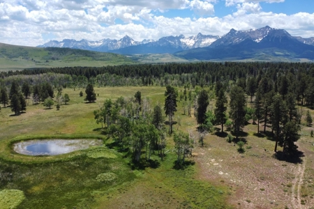 161 Acres San Juan Mountain Land for Sale in Placerville, CO - image 16