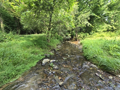 158 Acres of Untamed Beauty- Borders Local Golf Course - image 11