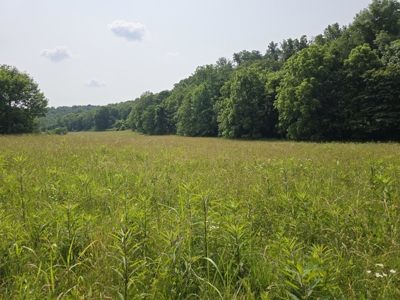 158 Acres of Untamed Beauty- Borders Local Golf Course - image 4