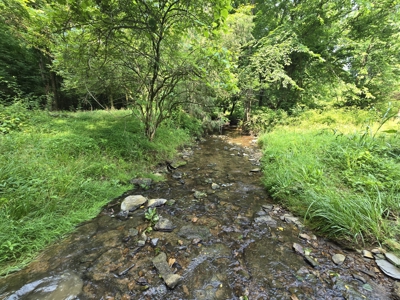 158 Acres of Untamed Beauty- Borders Local Golf Course - image 2