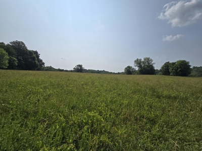 158 Acres of Untamed Beauty- Borders Local Golf Course - image 13