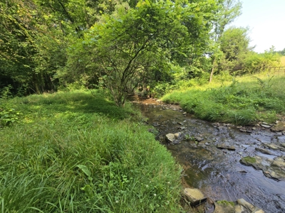 158 Acres of Untamed Beauty- Borders Local Golf Course - image 17