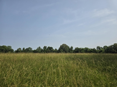 158 Acres of Untamed Beauty- Borders Local Golf Course - image 14