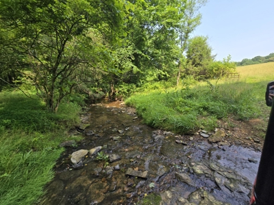 158 Acres of Untamed Beauty- Borders Local Golf Course - image 10