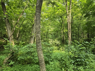 158 Acres of Untamed Beauty- Borders Local Golf Course - image 6