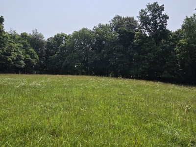 158 Acres of Untamed Beauty- Borders Local Golf Course - image 22