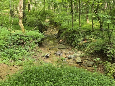 158 Acres of Untamed Beauty- Borders Local Golf Course - image 19
