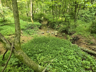158 Acres of Untamed Beauty- Borders Local Golf Course - image 24
