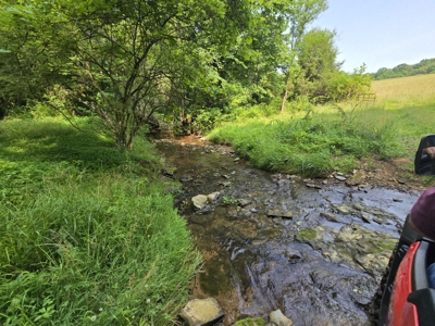 158 Acres of Untamed Beauty- Borders Local Golf Course - image 15