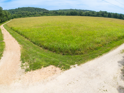Gasconade River Land for Sale in Pulaski County, MO - image 10