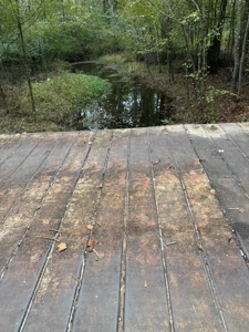 Land on the Tangipahoa River in Pike County, MS - image 6