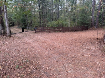 Land on the Tangipahoa River in Pike County, MS - image 2