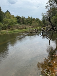 Land on the Tangipahoa River in Pike County, MS - image 13