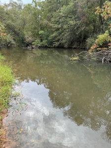 Land on the Tangipahoa River in Pike County, MS - image 12