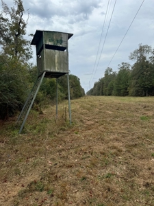Land on the Tangipahoa River in Pike County, MS - image 4