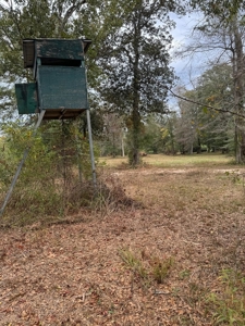 Land on the Tangipahoa River in Pike County, MS - image 9
