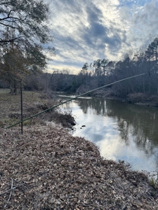Land on the Tangipahoa River in Pike County, MS - image 11
