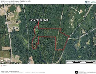 Land on the Tangipahoa River in Pike County, MS - image 20