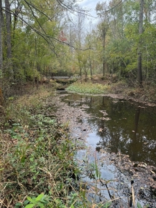Land on the Tangipahoa River in Pike County, MS - image 5