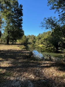 Land on the Tangipahoa River in Pike County, MS - image 10