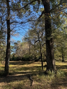 Land on the Tangipahoa River in Pike County, MS - image 14