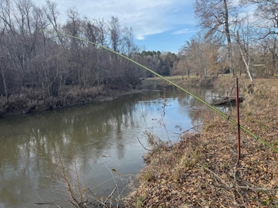 Land on the Tangipahoa River in Pike County, MS - image 1