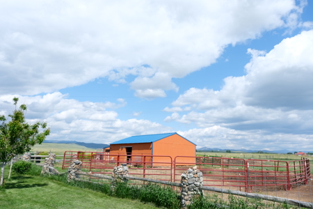 Country Home 20 Acres Fenced Barns Near River Whitehall MT - image 9