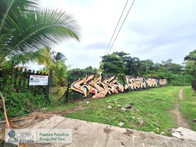 Titled Lot for Sale Near Bocas Town – Isla Colón Real Estate - image 6