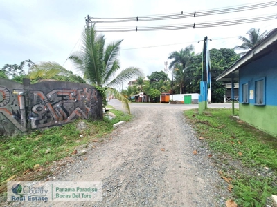Titled Lot for Sale Near Bocas Town – Isla Colón Real Estate - image 7