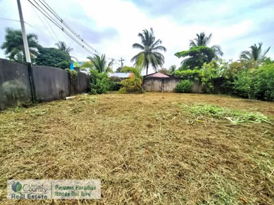 Titled Lot for Sale Near Bocas Town – Isla Colón Real Estate - image 8