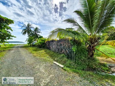 Titled Lot for Sale Near Bocas Town – Isla Colón Real Estate - image 2