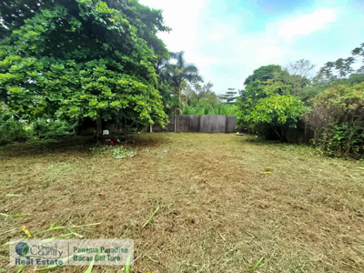 Titled Lot for Sale Near Bocas Town – Isla Colón Real Estate - image 9