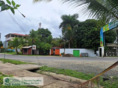 Titled Lot for Sale Near Bocas Town – Isla Colón Real Estate - image 5