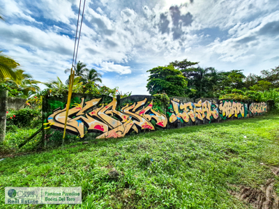 Titled Lot for Sale Near Bocas Town – Isla Colón Real Estate - image 3