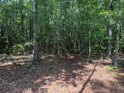 Wooded Land For Sale In Tn With No Restrictions - image 21