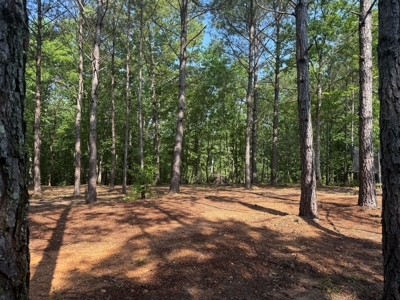 Wooded Land For Sale In Tn With No Restrictions - image 11